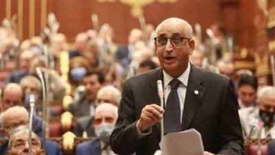 برلماني: وقف إطلاق النار خطوة لوقف معاناة الفلسطينيين وجهود مصر كانت حاسمة