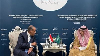 على هامش اجتماعات منظمة التعاون الإسلامي في أسطنبول.. وزير الخارجية يلتقي بنظيره السعودي