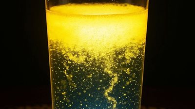 طبيب مناعة: الكركم كنز صحي حقيقي وليس مجرد ترند