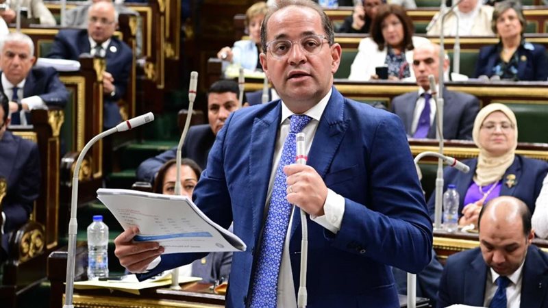 وزير المالية أمام