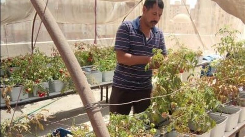  تجربة زراعة أعلى