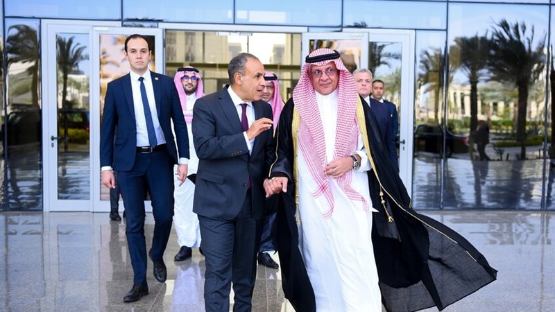 وزيرا خارجية مصر