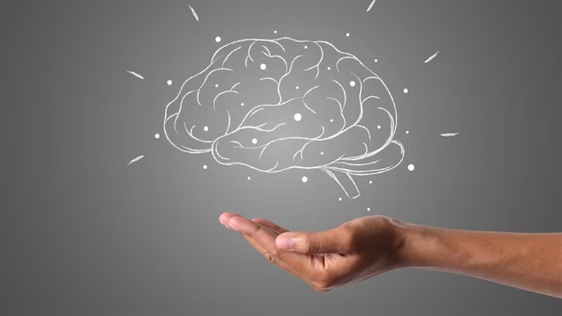 عادات تحسن الذاكرة