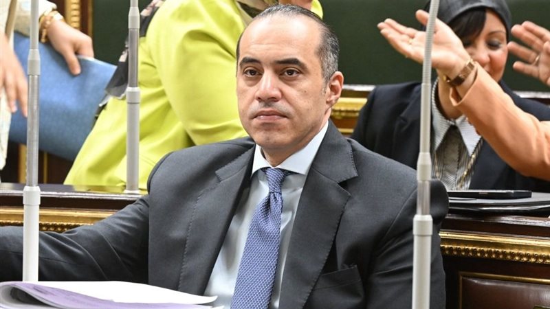 المستشار محمود فوزي