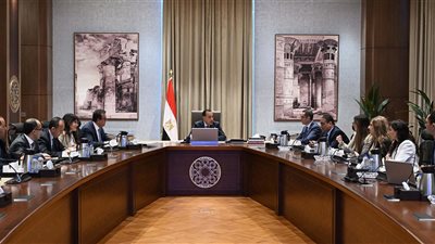 مدبولي يترأس اجتماع الحكومة ويقرر إلغاء خفض أسعار الكهرباء للقطاع الصناعي