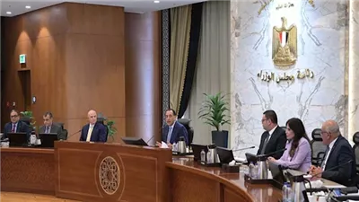 الحكومة توافق على زيادة قسط سنوى تسدده وزارة المالية للهيئة القومية للتأمينات