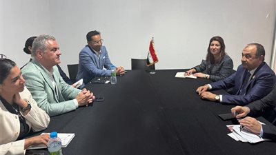 وزير قطاع الأعمال: شركات عالمية أبدت رغبتها في الاستثمار بمصر