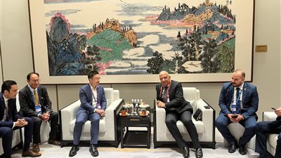 وزير الكهرباء يجتمع برؤساء شركات أجنبية للطاقة لبحث سبل نقل التكنولوجيا