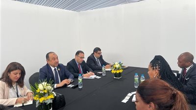 وزير قطاع الأعمال يبحث مع مؤسسات تمويل وشركات أمريكية كبرى جذب الاستثمارات