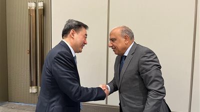 مصر والصين تبحثان توطين صناعات الطاقة المتجددة وتعزيز الشراكة الاستثمارية