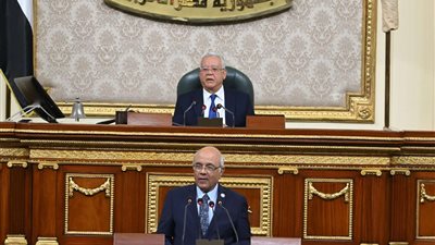 رئيس إسكان النواب يكشف بالأرقام تفاصيل الإيجار القديم وأهداف وسبب تعديل القانون