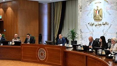 الوزراء: المستشفيات الحكومية ستظل مملوكة للدولة