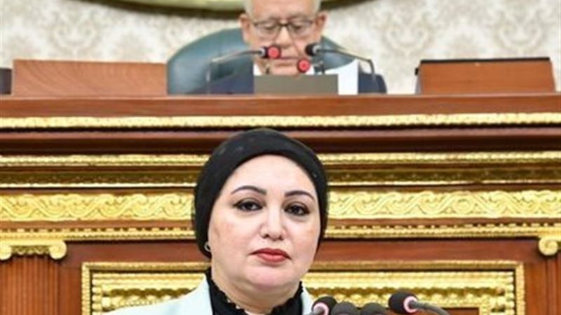 النائبة سولاف درويش