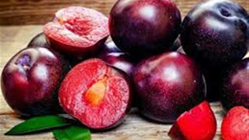 فوائد البرقوق الأحمر