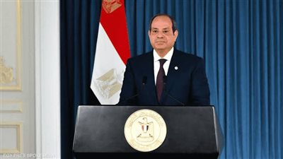 السيسي يستقبل رئيس الصومال.. ويؤكد دعم مصر الكامل لأمن واستقرار القرن الأفريقي