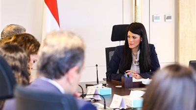 المشاط تبحث مع 