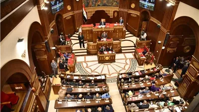 التعرض لحرمة الحياة الخاصة للمواطنين.. تعرف على محظورات انتخابات مجلس الشيوخ