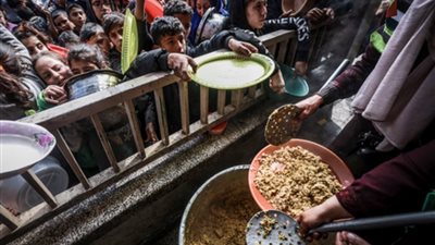 الأردن ينفذ إنزالا جويا جديدا لغزة ويرفع إجمالي المساعدات إلى 571 طنا