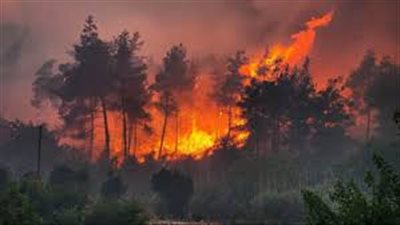 الدفاع المدني السوري: استمرار أعمال فرق الإطفاء للسيطرة على حرائق ريف اللاذقية 