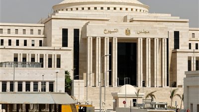 الهيئة الوطنية للانتخابات تنشر الكشوف المبدئية للمترشحين لعضوية مجلس الشيوخ 2025