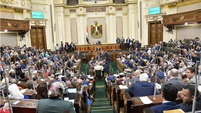 برلمانية تنسحب من جلسة النواب بسبب المادة 105 بالإجراءات الجنائية: اعتداء على الحريات وضمانات التحقيق