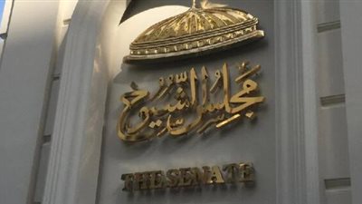 استعدادات استثنائية لمتابعة انتخابات الشيوخ 2025.. غرف عمليات وتدريبات مكثفة