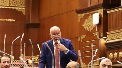 عضو بمجلس الشيوخ: كلمة الرئيس السيسي في القمة الأفريقية أكدت أن مصر تطرح دائمًا حلولًا قابلة للتطبيق