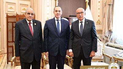 محمود فوزي يلتقي رئيس محكمة النقض ومجلس القضاء الأعلى لتهنئته بالمنصب