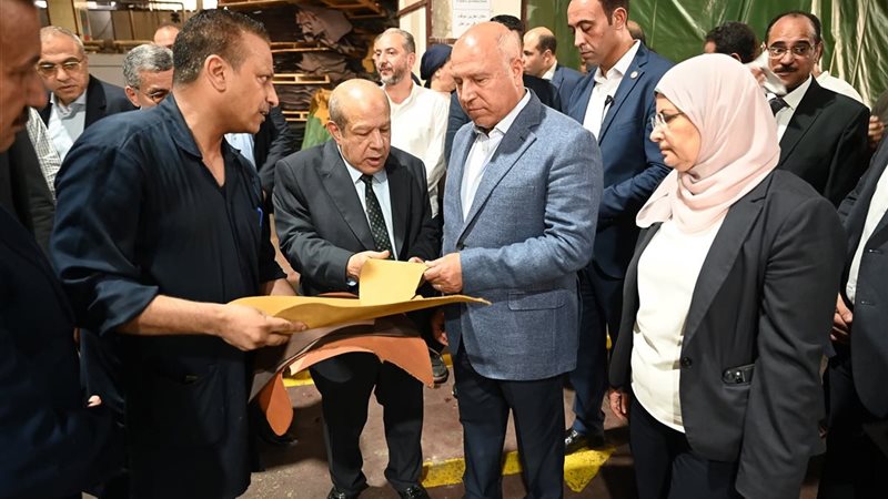 الوزير كامل الوزير