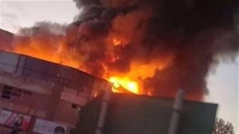 صورة أرشيفية