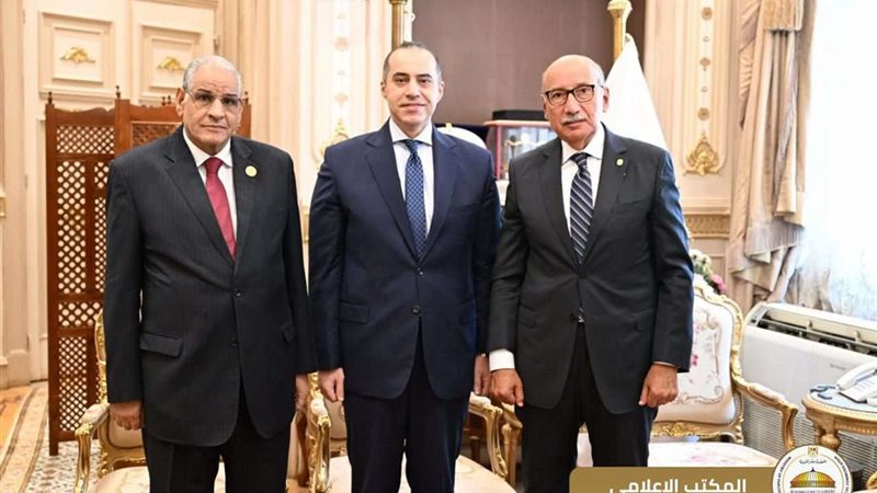 المستشار محمود فوزي