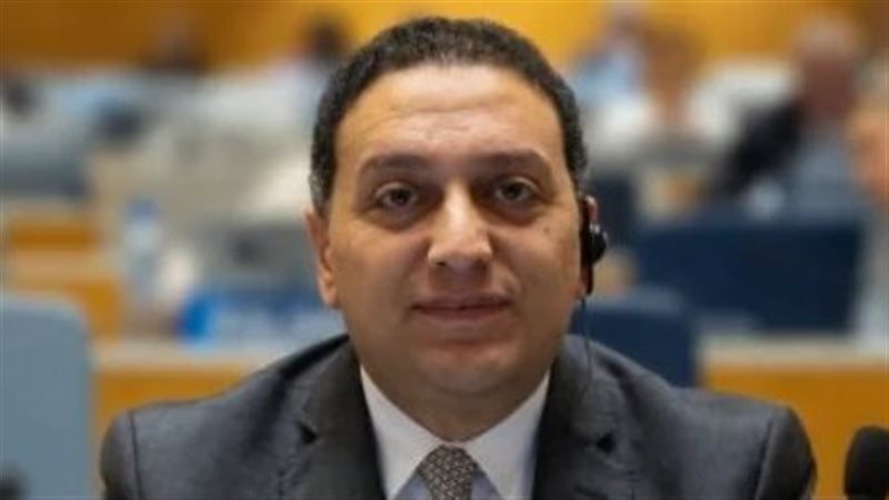 المستشار محمد عادل