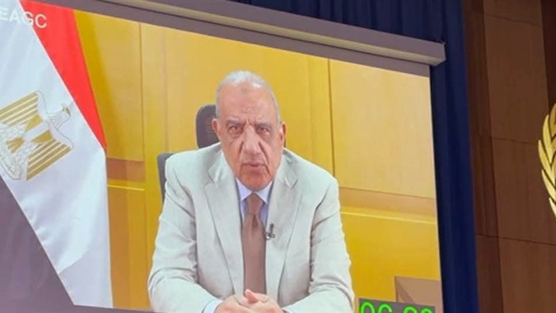 وزير الكهرباء