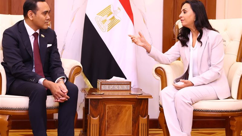 وزارة التضامن الاجتماعي