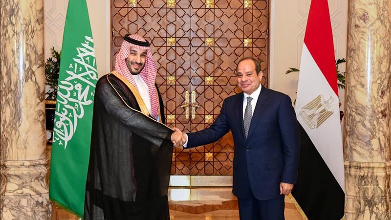 الرئيس السيسي و ولي
