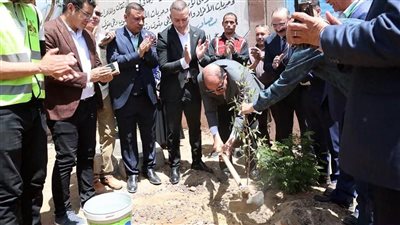 ضمن مبادرة «100 مليون شجرة».. زراعة 42 ألف شجرة بالمدن والمراكز في المنيا