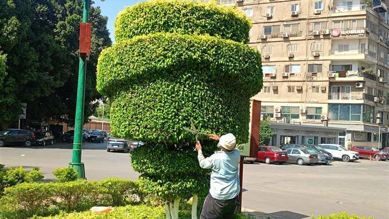محافظة الجيزة 