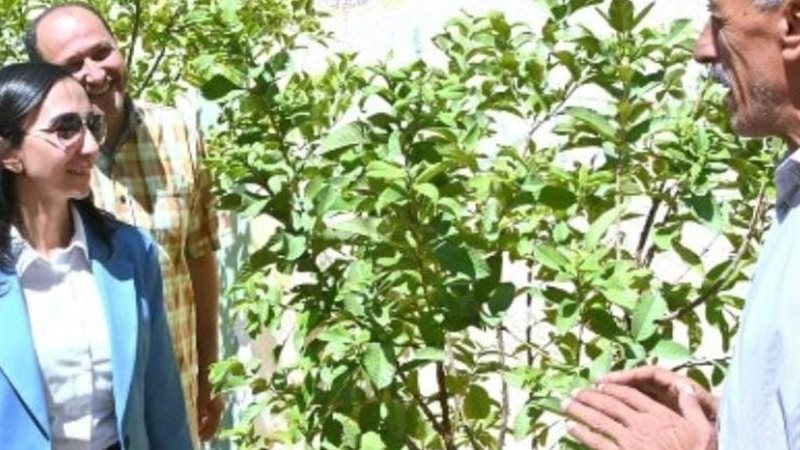 محافظ البحيرة