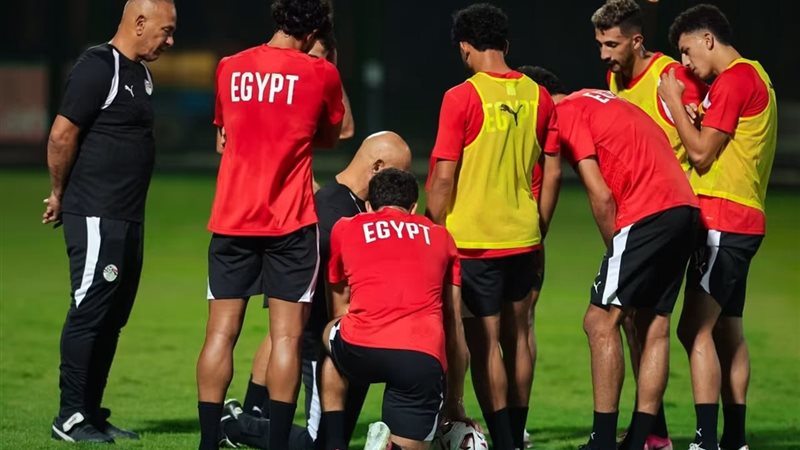 تفصيلة