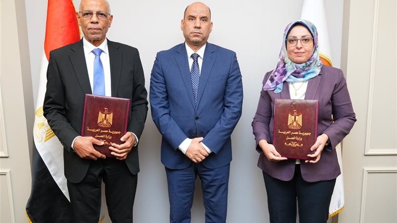 وزارة العمل 