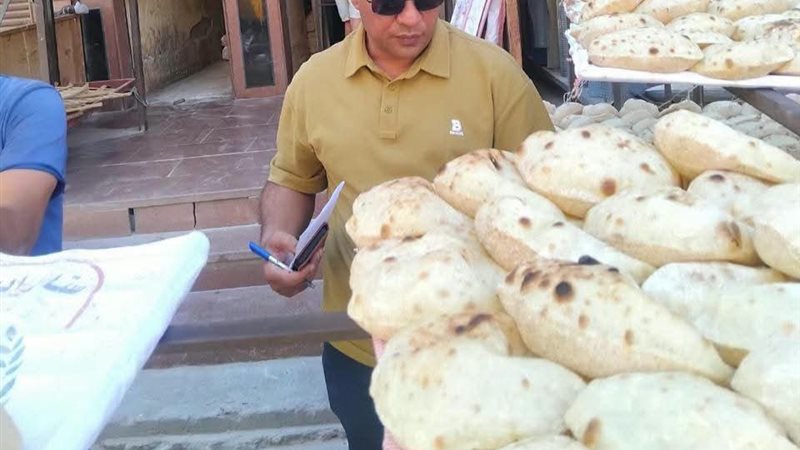 تموين المنيا