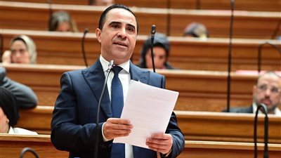 برلماني: حماية الأطفال من مخاطر السوشيال ميديا تتحول إلى واقع