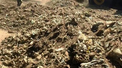 رفع 250 طن قمامة ومخلفات خلال حملة نظافة مكبرة بقرية إدفا بسوهاج