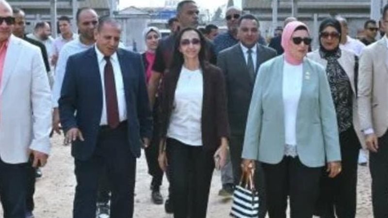 محافظ البحيرة 