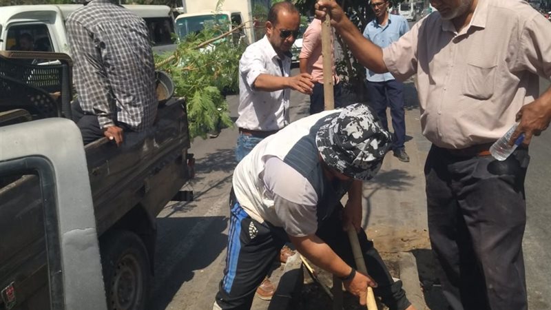 محافظة الجيزة 
