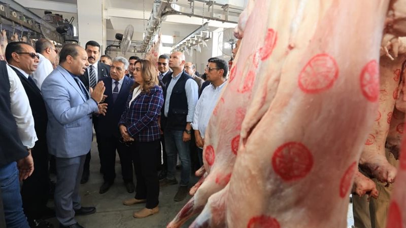 وزارة التنمية المحلية