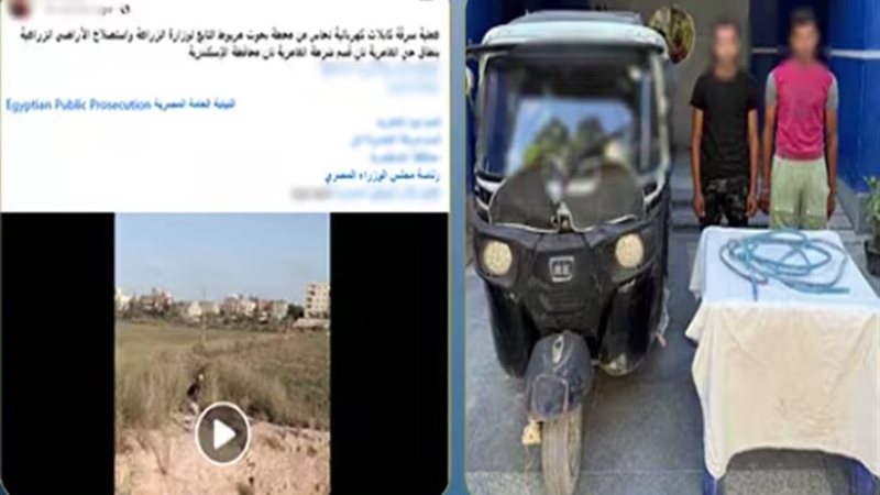 المتهمين