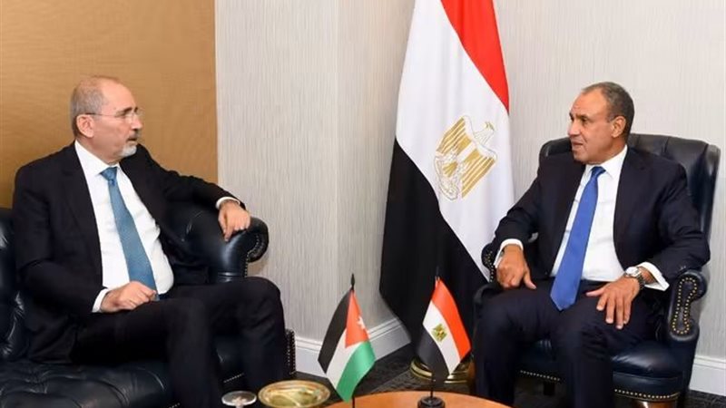 وزير الخارجية 