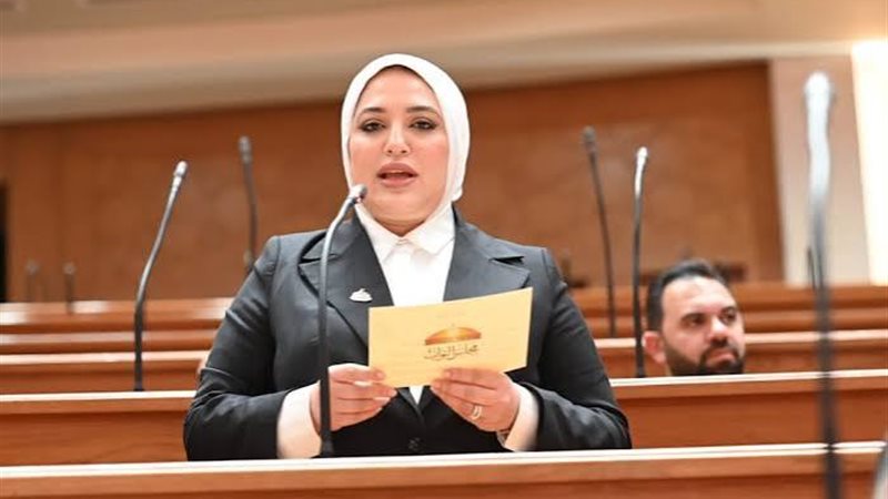 النائبة دعاء البنا