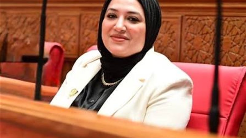 النائبة دعاء البنا